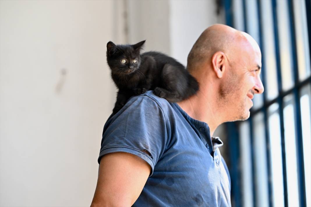 Tamirhanenin yeni Çırak'ı görenlerin yüzünü güldürüyor 16